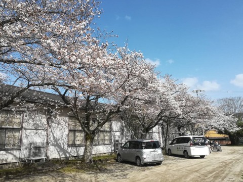 20230327原公民館 (1)