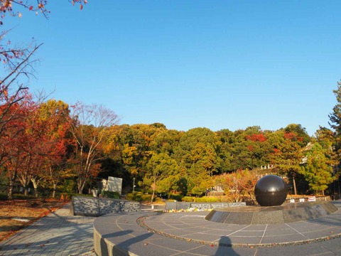 20221112公園墓地 (2)