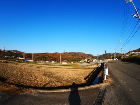 20221210摂津峡方面 (2)