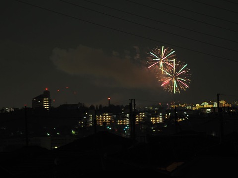 20221126万博花火 (19)