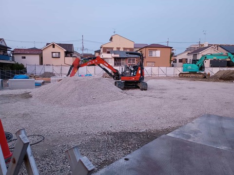 20250519津之江コスモス (4)