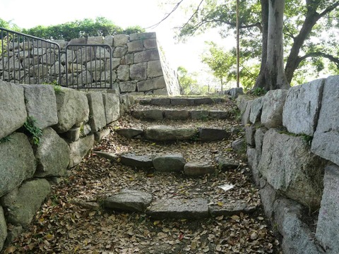 20241104淀城 (34)