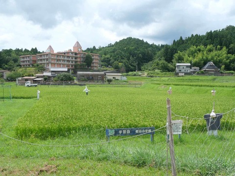 20260809樫田 (12)