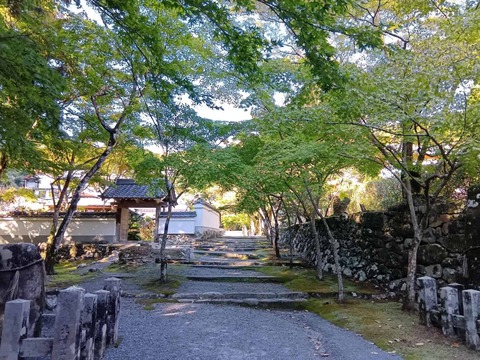 20251029神峯山寺 (5)