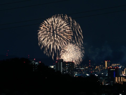 20260920くらわんか花火 (175)