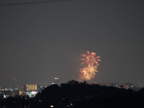 20240803なにわ淀川花火 (3)