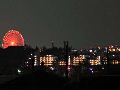20220925太陽の塔 (4)