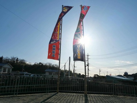 20250220藤島部屋 (4)