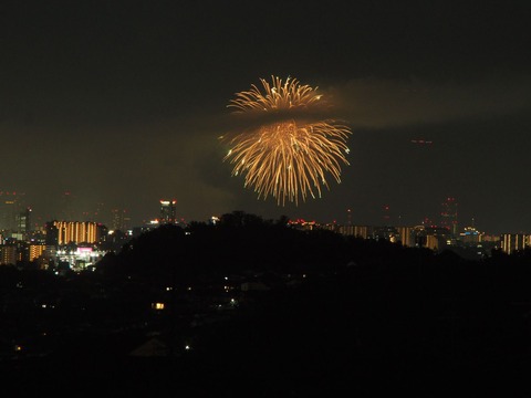20230805淀川花火 (20)
