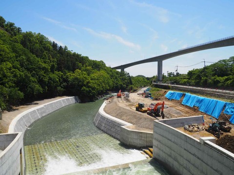 20230509安威川ダム昼前 (56)