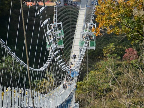 20241130吊り橋 (12)