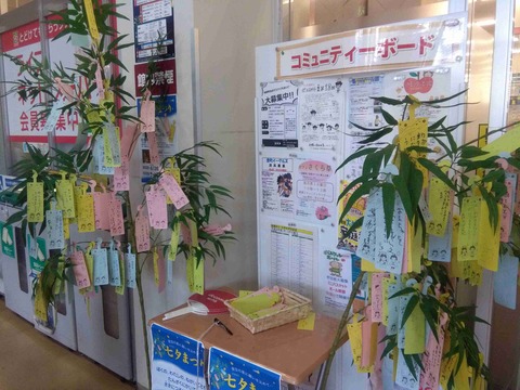 tanabata5
