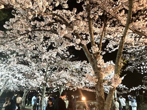 20240407松坂 (2)