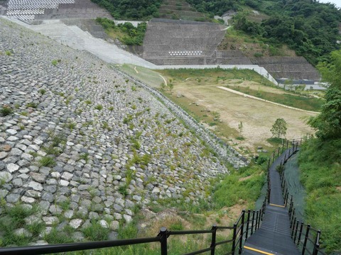 20240819安威川ダム (58)