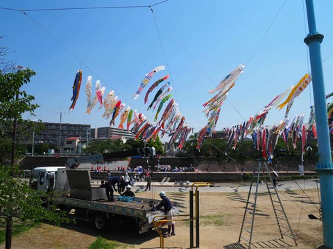 20250426こいのぼり (13)