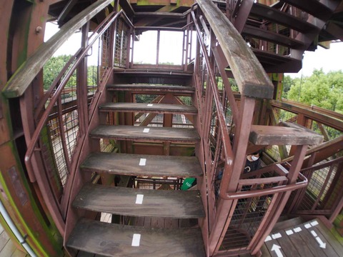 20221022万博記念公園 (58)