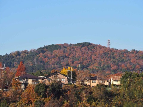 20221210摂津峡方面 (8)