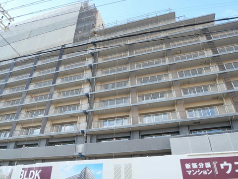 20241130島本町マンション (5)