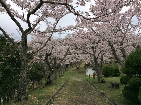 settukyo_park2