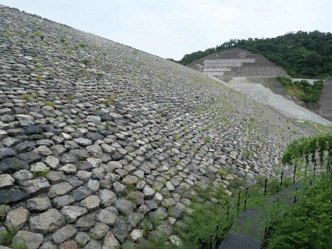 20240819安威川ダム (54)