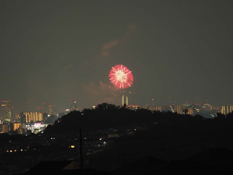 20220827なにわ淀川花火 (18)