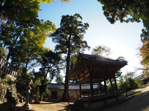 20221029八阪神社 (5)