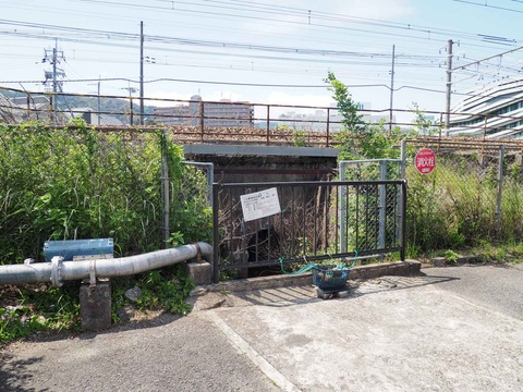 20230520島本町レンガ (16)