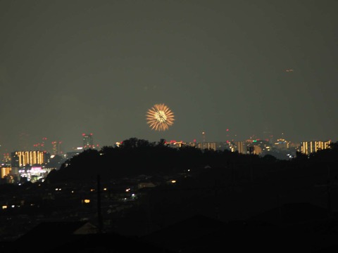 20220827なにわ淀川花火 (100)