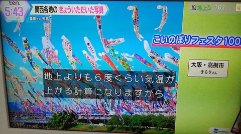 20240503こいのぼりTV (3)
