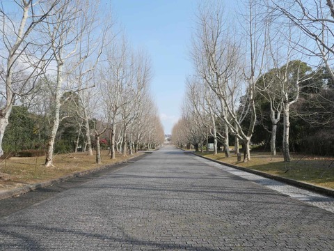 20260202万博記念公園 (6)