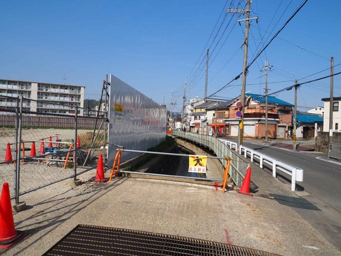 20230401島本町青葉 (4)