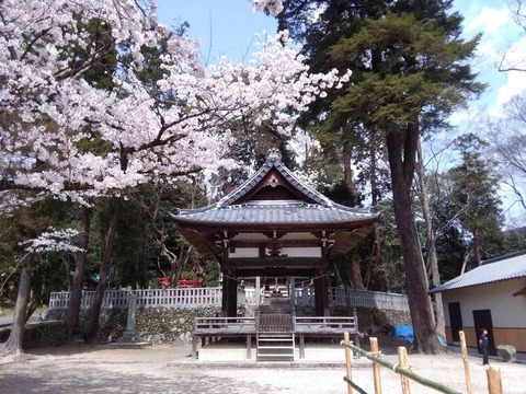 daijya2018_2