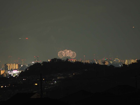 20220827なにわ淀川花火 (41)