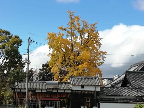 20201123koyo2