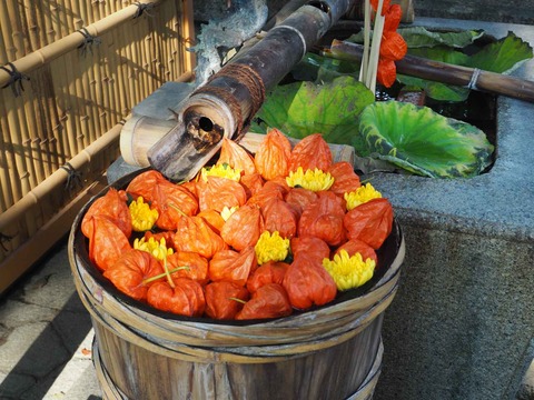 20220814野見神社 (12)