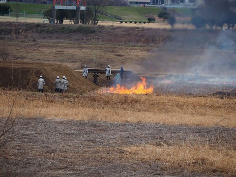 20240218ヨシ焼き (57)