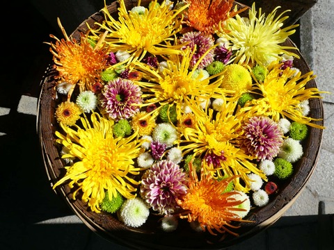 20241103野見神社 (2)