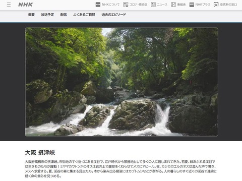 NHK自然百景