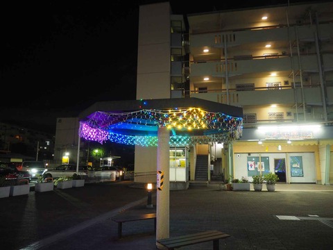 20231115富田団地イルミ (2)