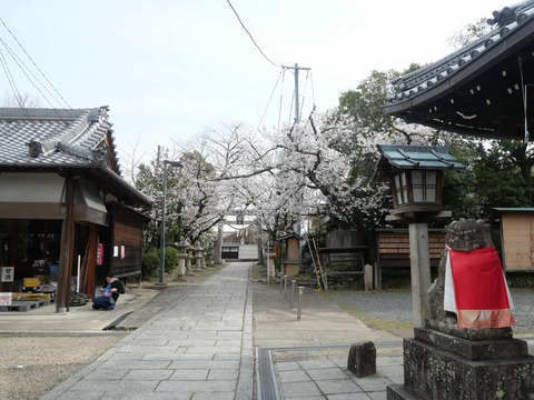 20250405三輪神社 (3)