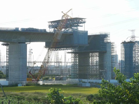 20250927新名神国道堤防 (51)