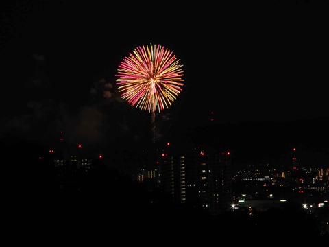 20230917水都くらわんか (29)