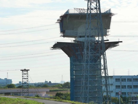 20250927新名神国道堤防 (65)