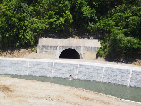 20230509安威川ダム昼前 (46)