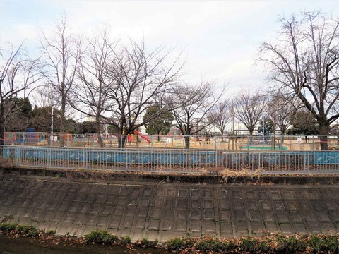 20230118川添公園 (3)