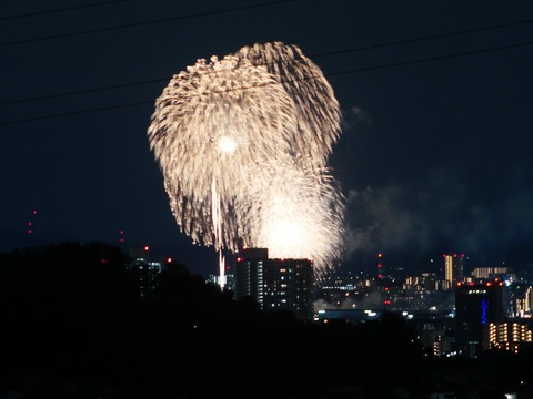 20260920くらわんか花火 (187)