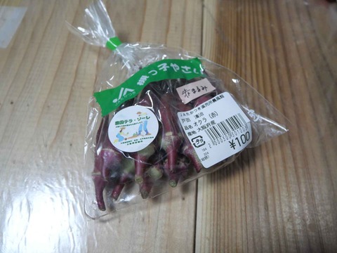 20240923赤オクラ (1)