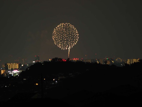20220827なにわ淀川花火 (167)
