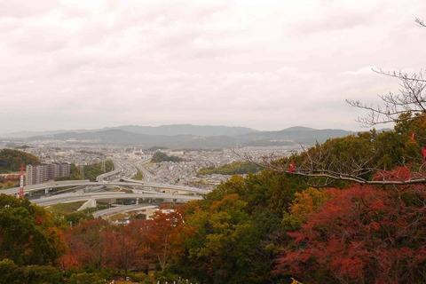 koyo191122_3