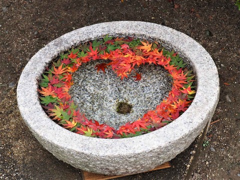 20221126 浄誓寺 (18)